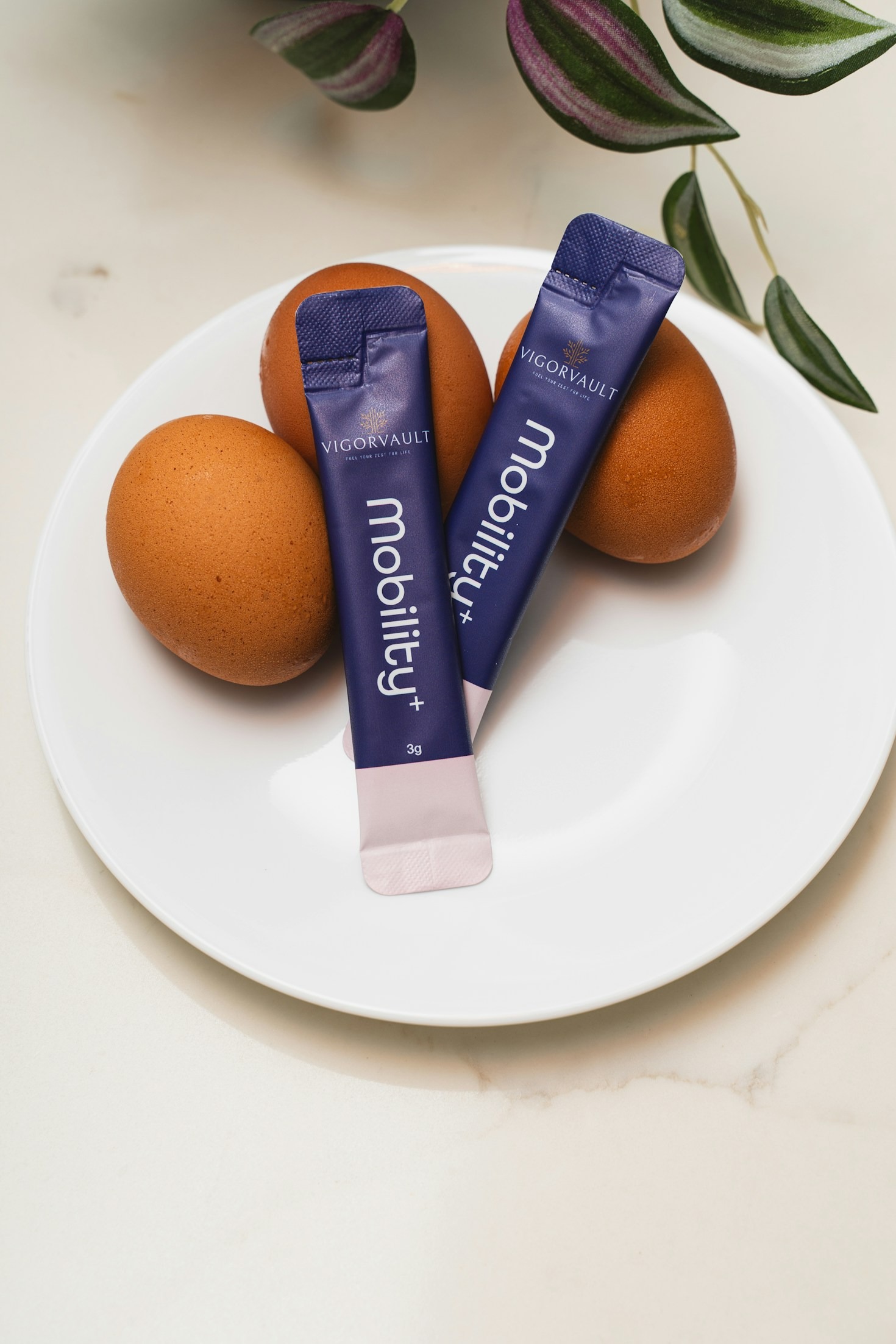 營養對於高齡健康的重要性